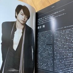 嵐 LOVE パンフレットの画像