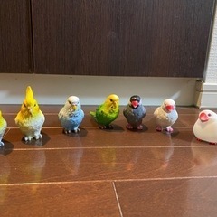 インコ　鳥　置物　セリア　文鳥　オカメインコ　セキセイインコ