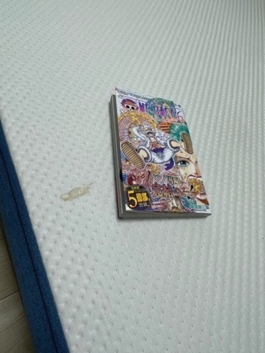 【美品】コアラマットレス　セミダブル