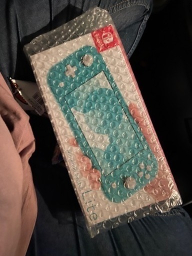 ニンテンドーDS,3DS Nintendo SwitcLite