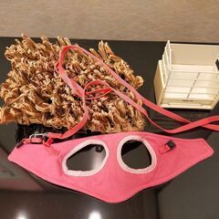 【無料！　うさぎ飼いの方へ】うさぎグッズいろいろの画像