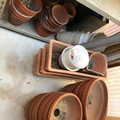 植木鉢　あげます