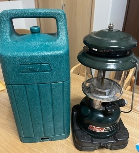 夢中めだか様購入 ハイビスカス1ペア