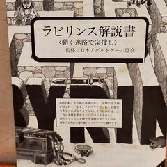 【めちゃめちゃおもしろいです】The a MAZE ing LABYRINTHの画像