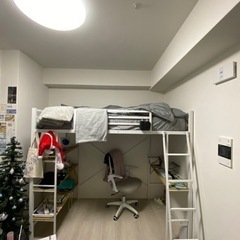 ロフトベッド + マットレス (シングル)の画像