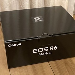 超美品 canon eos r6 mark2