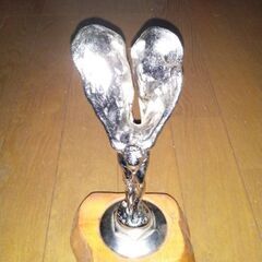 フライングレディーの画像