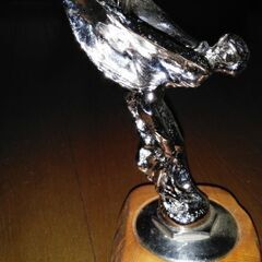 フライングレディーの画像