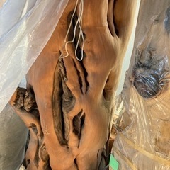 丸太　原木　長物　製材対応可　国産材2本の画像