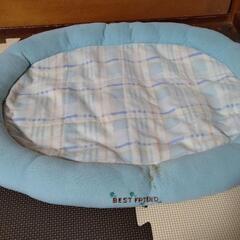 小型犬用品の画像