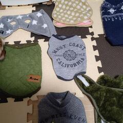 小型犬用品の画像