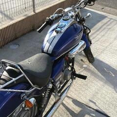 MAGNA50 不動