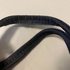 ヴァネッサブリューノの画像