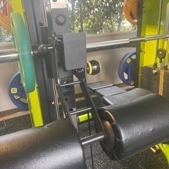 １７日まで限定の画像