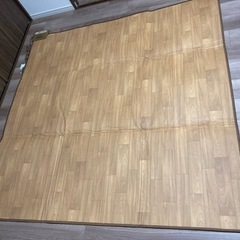 【引き取り専用】2018年製　ホットカーペット2畳　176×17...