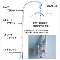 メリーの画像