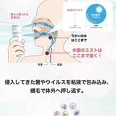 携帯用のどミスト　専用ケース付きの画像