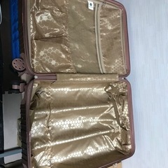 キャリーバッグの画像