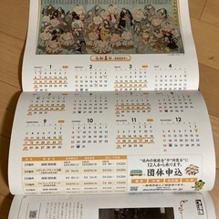 大相撲　2023初場所パンフレット　2冊の画像