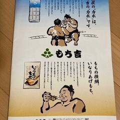 大相撲　2023初場所パンフレット　2冊の画像