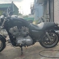 XL883Lの画像