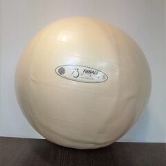 【1月31日まで】ギムニクプラス　バランスボール55cm　パール白