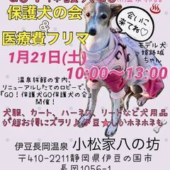 保護犬応援！犬グッズフリマ