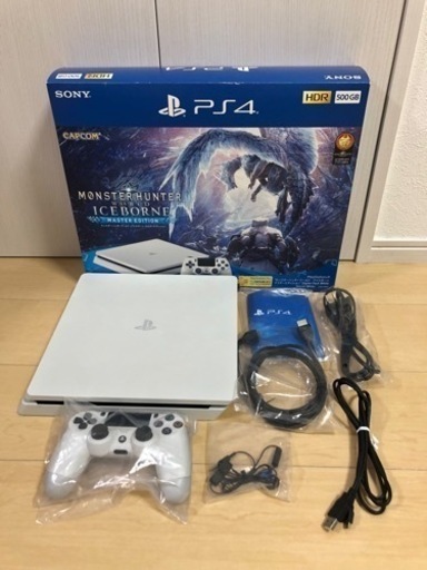プレイステーション SONY PlayStation4 CUHJ-10031