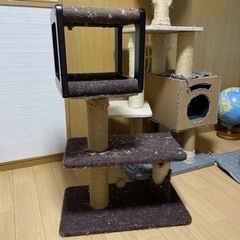 キャットタワー激しく中古！の画像
