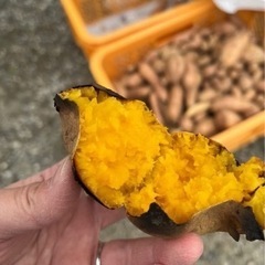 石焼き芋が来ます〜