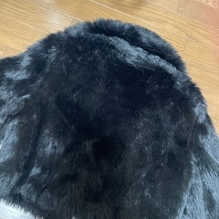 ファージャケットの画像