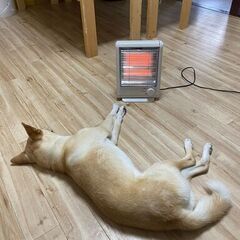 岩手県にお住まいの方【勤務地】  東京都八王子市 借り上げアパー...