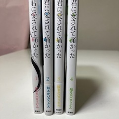 君に愛されて痛かった4巻セット！の画像
