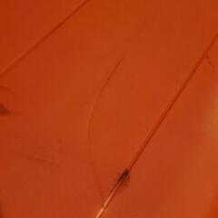 ジャングルジム(訳あり)の画像