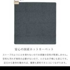 ホットカーペット　2畳　ジャンク品の画像