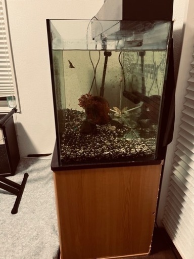 水槽セット