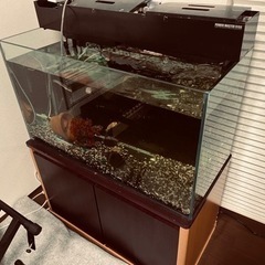 水槽セット