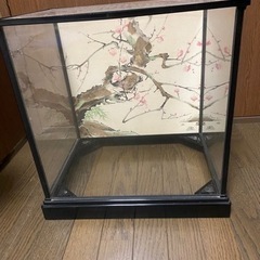ガラスケース