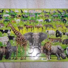 パズル　動物　６３ピース　アポロ社