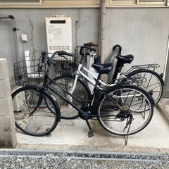 技能実習生セット