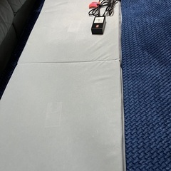 ※更に…お値下げしました‼︎ トラック用品‼︎ 大型トラック蓄熱マット　NEW一休さんの画像