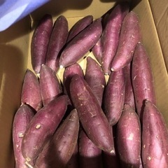 さつまいも