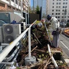 募集中、男女、やる気あるか大歓迎‼️年齢18～70でマジめで長期働けるかた大歓迎です！！の画像