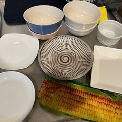 食器　0円　譲ります！