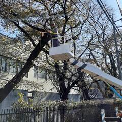 募集中❗やる気あるか大歓迎‼️