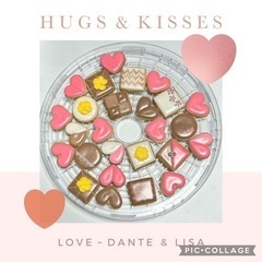 チョコレート？！みたいなアイシングクッキー