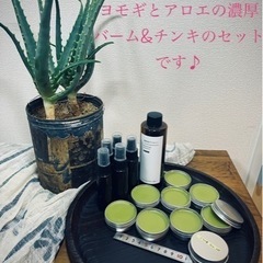 ❤︎アロエとヨモギの手作りバーム、チンキ❤︎