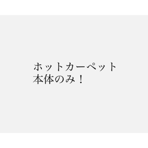 【譲り先確定】ホットカーペット