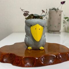リトルレジンポット ハシビロコウ 斑入りハートカズラ ラブチェーン