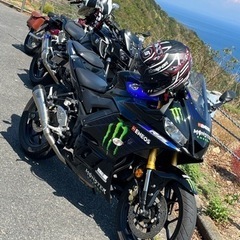 yzf-r25 Monster Energy motoGP Ed...